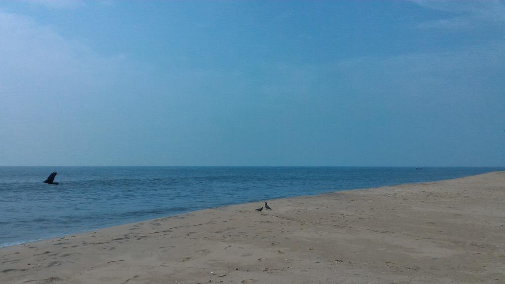 Marari Secret Beach Yoga Homestay มาราริคุลาม ภายนอก รูปภาพ